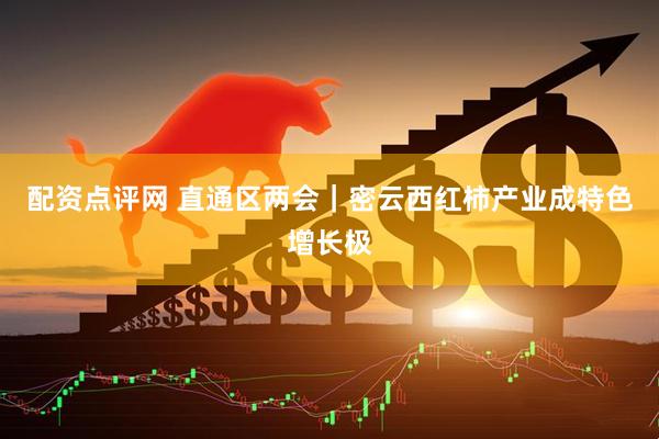 配资点评网 直通区两会｜密云西红柿产业成特色增长极