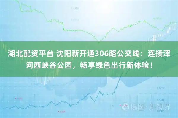 湖北配资平台 沈阳新开通306路公交线：连接浑河西峡谷公园，畅享绿色出行新体验！